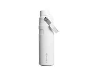 The IceFlow Bottle with Fast Flow Lid 24oz - Frost