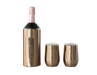 Wine Chiller Gift Set w/ 2 Tumblers Copper