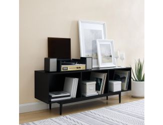 Liam Large Record Storage Console Cabinet