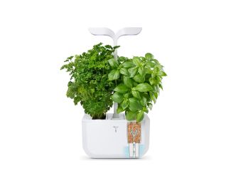 Exky Smart Indoor Garden