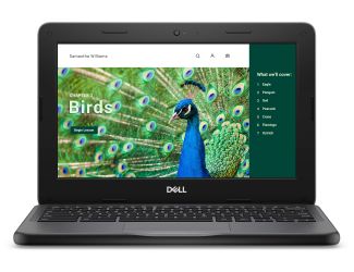 Chromebook 11" Non-Touch Intel 4GB/64GB