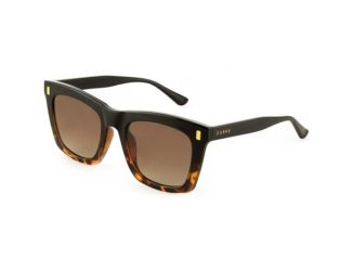 Womens Kirby Sunglasses Black Tort/Brown Gradient