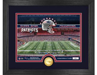 New England Patriots Stadium Bronze Coin Photo Mint