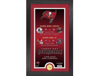Tampa Bay Buccaneers "Legacy" Bronze Coin Photo Mint