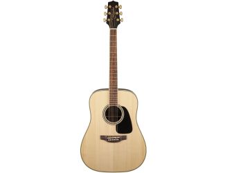 GD51 Acoustic Guitar