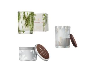 Frasier Fir Home for The Holidays Bundle