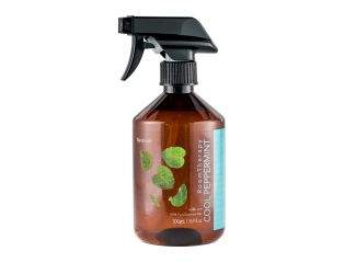 Cool Peppermint Room Spray