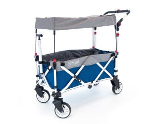 Pack & Push Compact Stroller Wagon w/ Canopy Blue & Gray