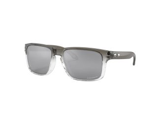Polarized Holbrook Sunglasses