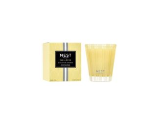 Sunlit Yuzu & Neroli Classic Candle