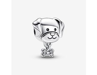 Pet Dog and Bone Charm