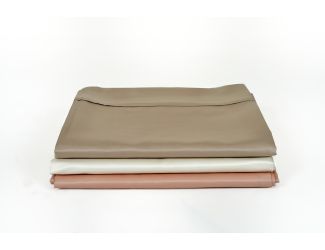 Flat And Fitted Sheet Set King Champagne