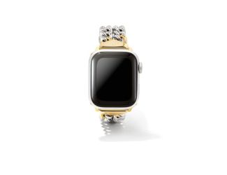 Whitley Two Tone Double Chain Watch Band