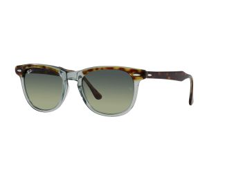 Eagleeye Sunglasses - Havana On Transparent Green