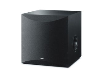 10" 100W Subwoofer