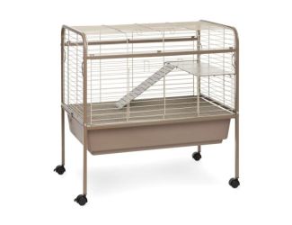 Small Animal Home Coco