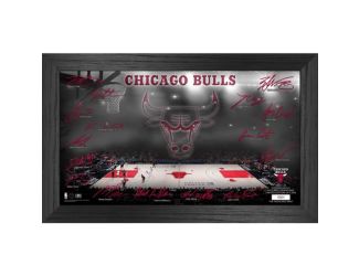 Houston Rockets 2024-25 Signature Court Photo Mint