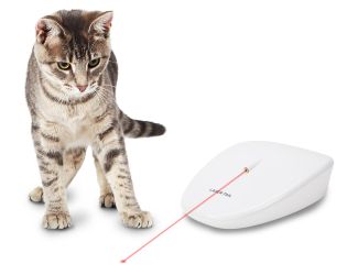 Laser Tail Automatic Laser Light