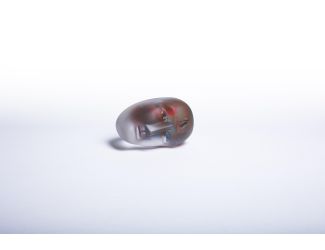 BV Brains Inside Matters Ac -21