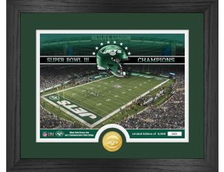 New York Jets Stadium Bronze Coin Photo Mint