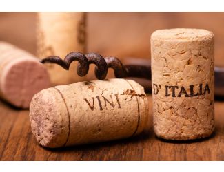 Wine Galaxy's The Taste of Italy - 2 bottles, 1 Red & 1 White