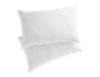 Clean Essentials King Pillow with Pillow Protector Set - (White)