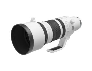 Canon RF 100-300mm f/2.8 L IS USM