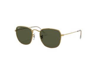 Polarized Frank Sunglasses