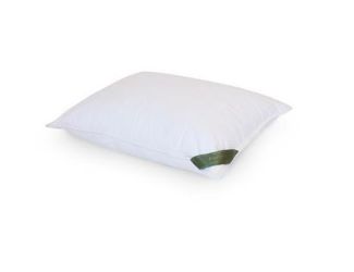 Travel Silk Lined Pillow with a 100% Outter Cotton Shell 100% Micro Fiber Fill, 2 pcs pack