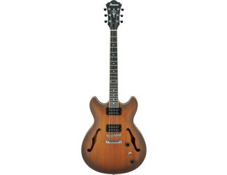 AS53 6-String Hollow-Body Electric Guitar