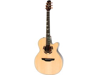 Tradesman Acoustic-Electric Guitar with Case