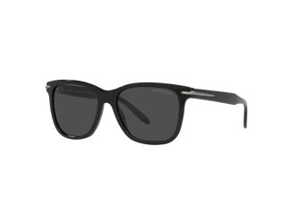 Telluride Sunglasses