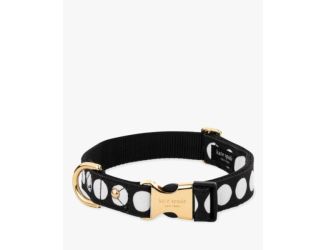 Small Dog Collar, Art Dot