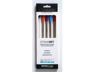 EcoVessel SS Steel Straw Set w/Straw Brush