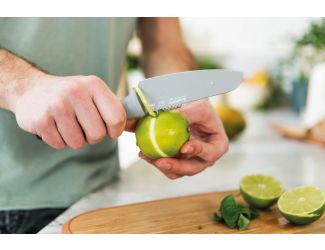 Leo Vegetable Knife w/zester, Gray