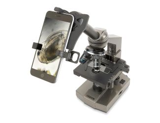 Intermediate Compound Microscope with Smartphone Adapter