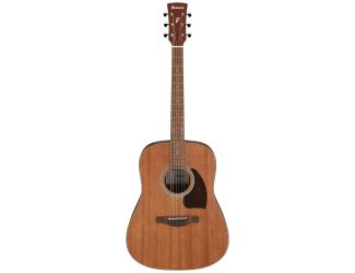 PF54 Acoustic Guitar