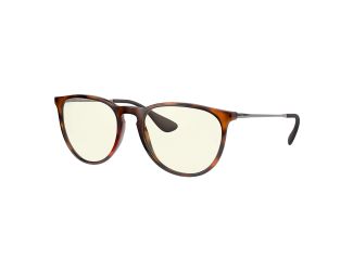 Erika Glasses