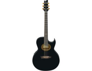Steve Vai Acoustic/Elec Guitar