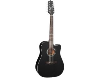 12-String Acoustic-Electric Guitar