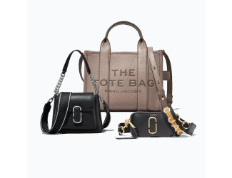 Mini Chain/Small Tote/Snapshot