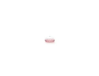The Guzzini Vanity Small Cake Serving Set adds elegance and sustainability to your dessert presentation. Made in Italy from Bio-Based Acrylic Crystal-a renewable, 100% recyclable material derived from vegetable waste-this set includes a beautifully textur