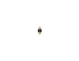 BOSS Cheswick Gents.  40MM Yellow Gold IP Case. Yellow Gold IP Bracelet with push button deployment clasp. Black dial with date display at 6 o'clock. Mineral Crystal.  Water resistant to 5 ATM. Quartz  Movement.