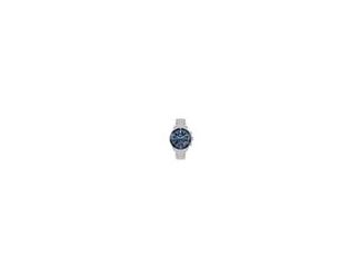 Boss Sealiner Gents. 44mm Stainless Steel Case with blue Bezel. Stainless Steel bracelet with push button deployment clasp.  Blue  Chronograph Dial with date display at 4 o'clock.  Mineral Crystal. Quartz Chronograph Movement. Water Resistant to 5 ATM.