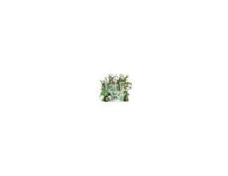 Indulge in a soothing and revitalizing home spa experience with the LOVERY Tea Tree Bath Set, designed to free your mind, body, and soul. This deluxe set blends calming mint fragrance with natural ingredients like peppermint oil, argan oil, vitamin E, tea