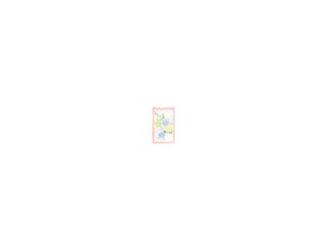 Make waves poolside or seaside with Lilly's luxe scalloped beach towel. Complete with a scallop trim and a bold, vibrant Floral Trellis print, it's a great way to add some Lilly to your sunny day style. Full Patterned Cotton. Dimensions: 40 x 72