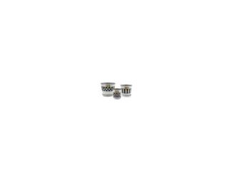 Give your blossoms a stylish home with this set of three Courtly Stripe Pots & Saucers. Crafted from galvanized metal with scalloped edges and designed for both indoor and outdoor use, these elegant vessels are sure to make your space bloom.