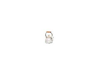 Sterling Check 2 Quart Tea Kettle