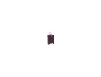 The Baseline Collection is dedicated to the spirit of discovery that defines our travels and creates lasting memories. The iconic bag of the Baseline collection, the Essential Carry-On Spinner is timeless and versatile. Its extraordinary performance will 