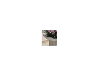 The Napoli Green Stone Planter adds a touch of elegance and class to your home decor. Ornate with antique style patterns synonymous to Greek architecture, this impressive planter is suitable indoor or outdoor, whether showcasing your favorite plant or as 